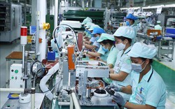 CIEM dự báo 2 kịch bản tăng trưởng kinh tế Việt Nam 2022