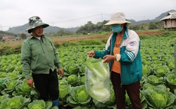 Sơn La: Đẩy mạnh tư vấn, hỗ trợ, dạy nghề cho nông dân