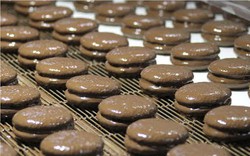 Bên trong nhà máy sản xuất, chế biến bánh chocopie