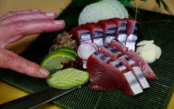 Tại sao cá ngừ béo bất thường ở Nhật Bản?
