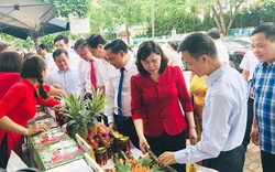 30 sản phẩm đặc sản Bắc Giang tham gia “Chợ phiên sản phẩm nông nghiệp tiêu biểu, sản phẩm OCOP”