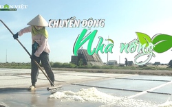 Chuyển động Nhà nông 17/7: Diêm dân Nam Định thắng to vụ muối