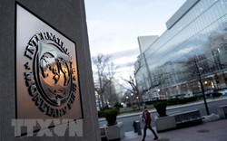 Quỹ Tiền tệ Quốc tế hạ triển vọng tăng trưởng kinh tế toàn cầu