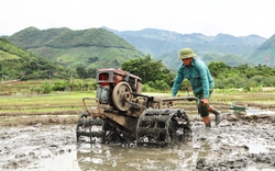 Hứa hẹn một vụ lúa mùa thắng lợi trên đất Sông Mã