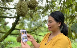 Nữ tỷ phú trồng sầu riêng ở Đắk Lắk được bình chọn là Nông dân Việt Nam xuất sắc 2022