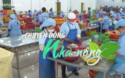 Chuyển động Nhà nông 20/7: Doanh nghiệp thủy sản 'đói' nguyên liệu, VASEP kiến nghị gỡ nút thắt cho hàng nhập khẩu