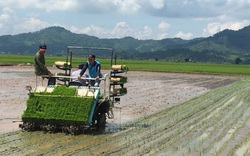 Trung ương Hội NDVN học tập, quán triệt Nghị quyết Hội nghị lần thứ 5 Ban Chấp hành Trung ương Đảng khóa XIII 