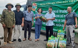 Hội Nông dân TP.Hải Phòng bàn giao cây giống, vật tư cho nông dân sản xuất thanh long