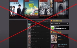 Vi phạm bản quyền video trực tuyến ở Việt Nam gây thất thoát 348 triệu USD