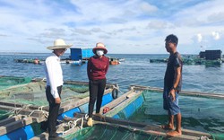 "Bật mí": Phía sau những nông dân "triệu phú" tại huyện đảo Lý Sơn