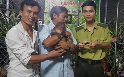 TT-Huế: Người dân giao nộp 2 cá thể động vật hoang dã quý hiếm cho kiểm lâm 