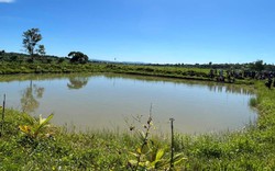 Gia Lai: Đi câu cá, nam thanh niên trượt chân xuống hồ đuối nước thương tâm