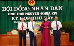 Thủ tướng phê chuẩn ông Nguyễn Thanh Bình làm Phó Chủ tịch UBND tỉnh Thái Nguyên