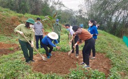Hội nông dân Lào Cai: Phát huy vai trò xây dựng nông thôn mới