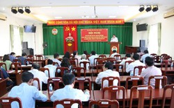 Hội Nông dân tỉnh Ninh Thuận hỗ trợ kích hoạt tài khoản mua-bán cho hơn 11.000 hộ sản xuất nông nghiệp