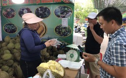 Sầu riêng, táo, bưởi da xanh hút khách tại phiên chợ nông sản Khánh Hoà