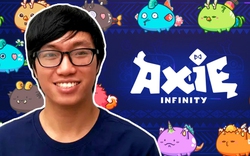 Sự thật Axie Infinity đang "rơi vào vực thẳm" 