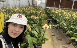 Học hỏi phương pháp trồng lan hồ điệp công nghệ cao từ nữ CEO Hoa Lan Hà Nội