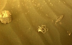NASA phát hiện vật thể kỳ lạ có hình dạng giống 'con sứa' trên bề mặt sao Hỏa