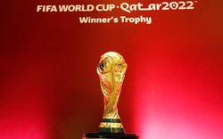 "Giá bản quyền World Cup 2022 là thách thức đối với các nhà đài"
