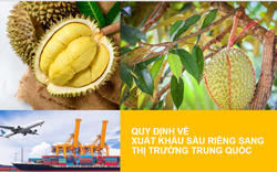 Trung Quốc lưu ý những "con bọ" nào không được xuất hiện trong trái sầu riêng xuất khẩu?