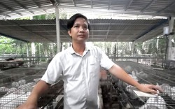 Gác bằng cử nhân, trai làng Sài Gòn rủ cả xóm lập HTX nuôi con tai dài, đẻ sòn sòn, thị trường tranh nhau mua