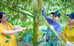 Trong số 100 "Nông dân Việt Nam xuất sắc" năm 2022, rất nhiều người là chủ trang trại thu nhập tiền tỷ