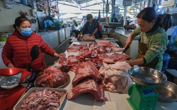 Tăng 4,29% so với tháng trước, giá thịt heo đang kéo lạm phát tăng theo