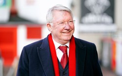 Sir Alex Ferguson trở lại M.U: Uy quyền của “Máy sấy tóc”