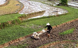 Lai Châu: Sìn Hồ thực hiện nhiều giải pháp phát triển kinh tế