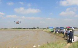 Máy bay không người lái sạ lúa vèo vèo, mặt ruộng không dấu chân, nông dân Bắc Ninh kéo ra xem