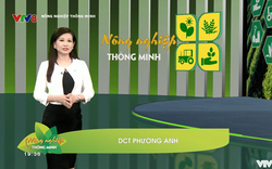 Nông sản Việt Nam – xây dựng thương hiệu theo từng địa phương