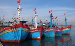 Thủ tướng Phạm Minh Chính đề nghị Bộ NNPTNT nghiên cứu chính sách hỗ trợ ngư dân bị ảnh hưởng do giá xăng dầu