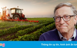 Tỷ phú Bill Gates trở thành điền chủ lớn nhất nước Mỹ