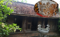 Những cổ vật quý hiếm trong ngôi nhà cổ hơn 100 năm tuổi của nhà thơ Nguyễn Khuyến ở Hà Nam