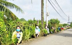 Đẹp mê tơi tuyến đường hoa nông thôn mới, đường trồng cây cảnh ở huyện Châu Thành của Long An