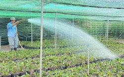 Đồng Nai: Tỷ lệ người dân nông thôn dùng nước sạch còn thấp do giá bán cao