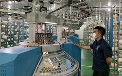 Đà Nẵng: Doanh nghiệp thành lập mới tăng cao, doanh nghiệp giải thể giảm sâu