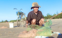 Dân bên bờ vịnh Hòn La ở Quảng Bình trúng đậm con ruốc, cứ ra biển là có tiền triệu mỗi ngày