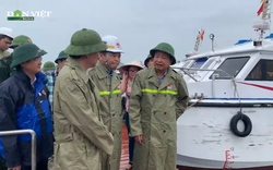 Thứ trưởng Bộ NN&PTNT kiểm tra, chỉ đạo công tác ứng phó với bão số 2 tại Quảng Ninh