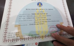 Vụ bảo hộ giống thanh long ruột đỏ LD1, Sở NNPTNT Long An khẳng định: Làm đúng luật