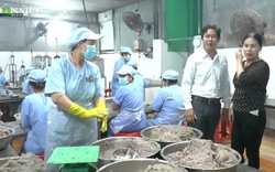Gặp nữ tỷ phú chả cá được bình chọn Nông dân Việt Nam xuất sắc 2022