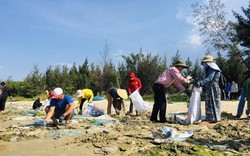 Mô hình nông dân tham gia bảo vệ môi trường đang phát huy hiệu quả ở Quảng Ngãi