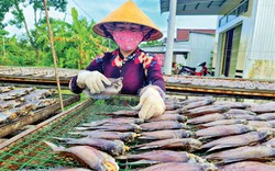 Nâng tầm nhãn hiệu "Cá khô bổi U Minh"