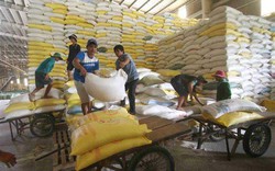 Thị trường nông sản tuần qua: Giá gạo xuất khẩu có xu hướng giảm