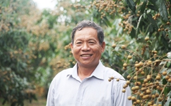Một người Vĩnh Long đập bỏ lò gạch 1 tỷ, chuyển sang trồng nhãn Ido thành Nông dân Việt Nam xuất sắc 2022