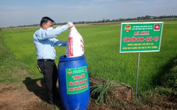 Những nông dân có sở thích "lạ": Nhặt rác làm sạch xóm, làng nông thôn mới