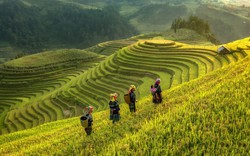 Khai mở tiềm năng du lịch nông thôn: Phải cho du khách trải nghiệm làm nông nghiệp đúng nghĩa (bài cuối)