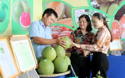 Huyện Phú Giáo của Bình Dương phát triển du lịch nông nghiệp công nghệ cao theo hướng làng thông minh
