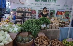 Nông dân Đà Nẵng mang toàn đồ "cây nhà lá vườn" đến hội chợ nông nghiệp để bán